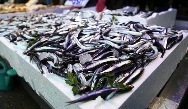 В Турции упали цены на рыбу