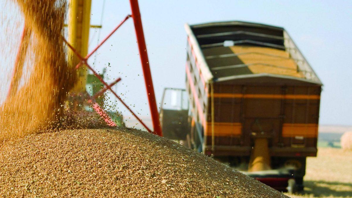 Экспорт турецкого зерна составил $10,4 млрд в этом году