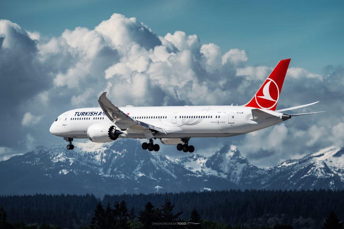 Турецкие авиалинии вошли в топ-10 лучших авиационных брендов мира