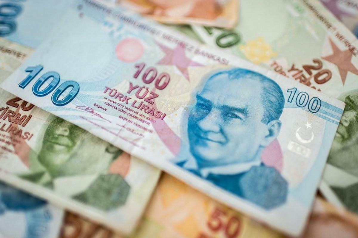 В Турции подняли минимальную зарплату