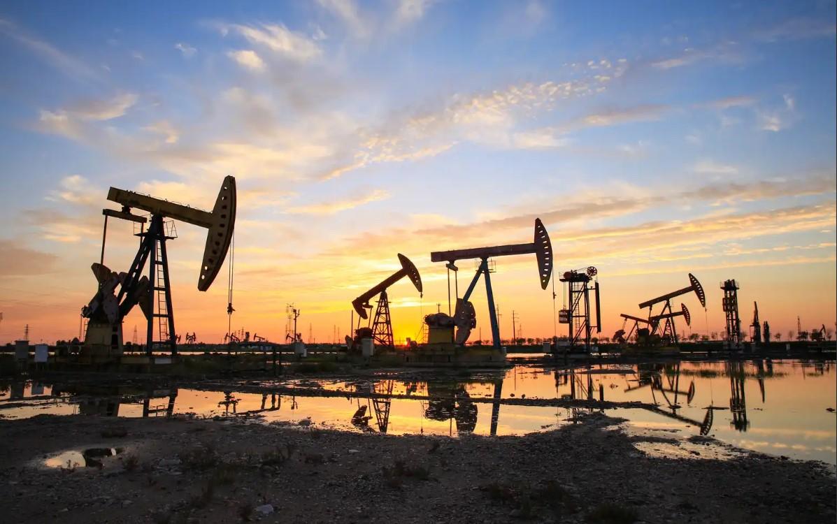 В Турции обнаружили новое крупное месторождение нефти